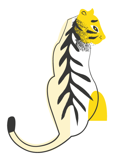 CREDIRE tijger